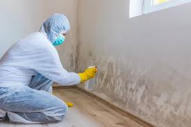 Why You Should Choose Our Mold Remediation Services in Mingo Junction, OH